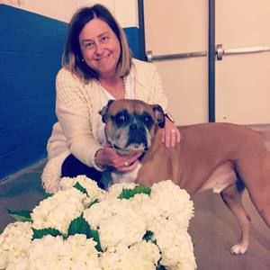 Meet your Posher, Camille